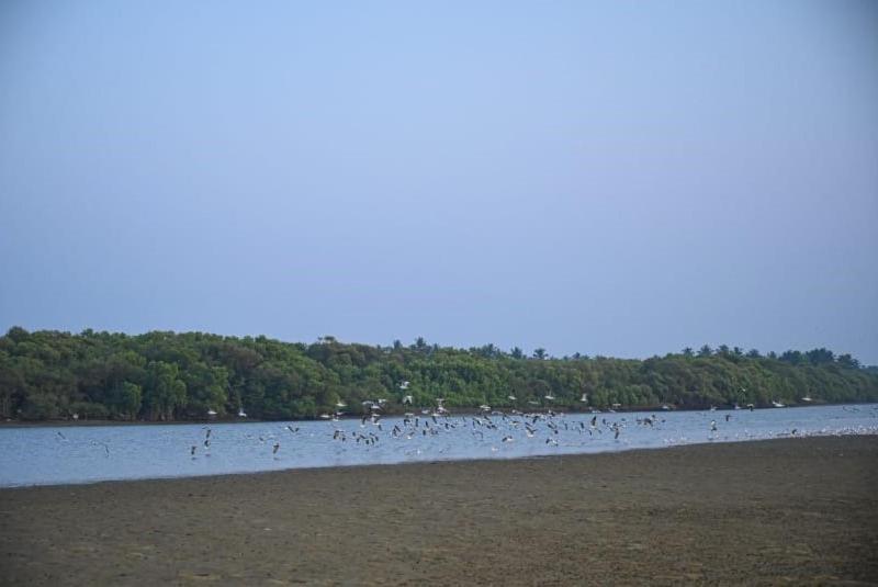 Hotel Reunion Ocean Tides Udupi Esterno foto